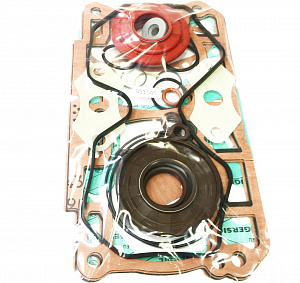 420893500 Комплект прокладок полный для снегоходов Ski-Doo Rotax 800R E-TEC SM-09507F